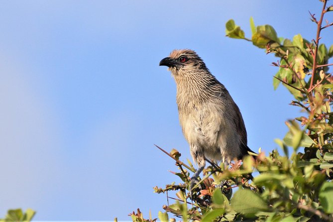 Nairobi National Park - What the private format means for you
