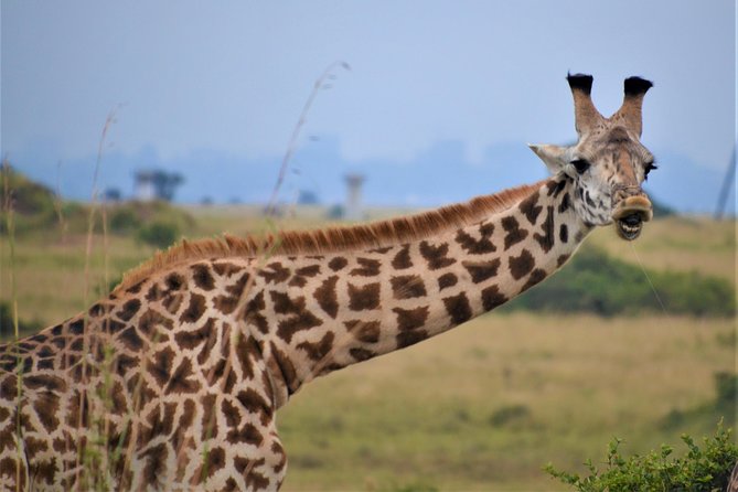 Nairobi National Park - Who will enjoy this Nairobi safari most