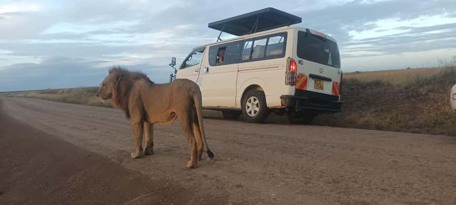 NAIROBI NATIONAL PARK AFTERNOON GAME DRIVE. - Why an afternoon safari works well in Nairobi