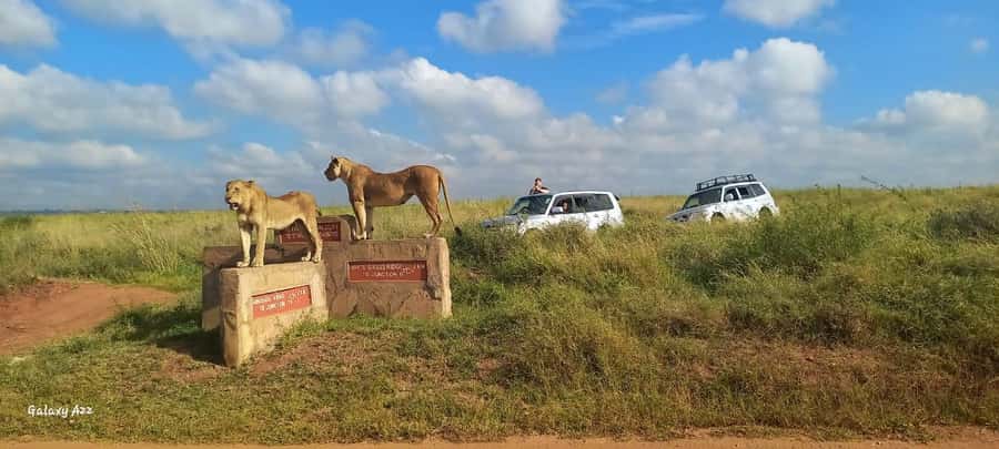 NAIROBI NATIONAL PARK AFTERNOON GAME DRIVE. - What the $35 price really covers