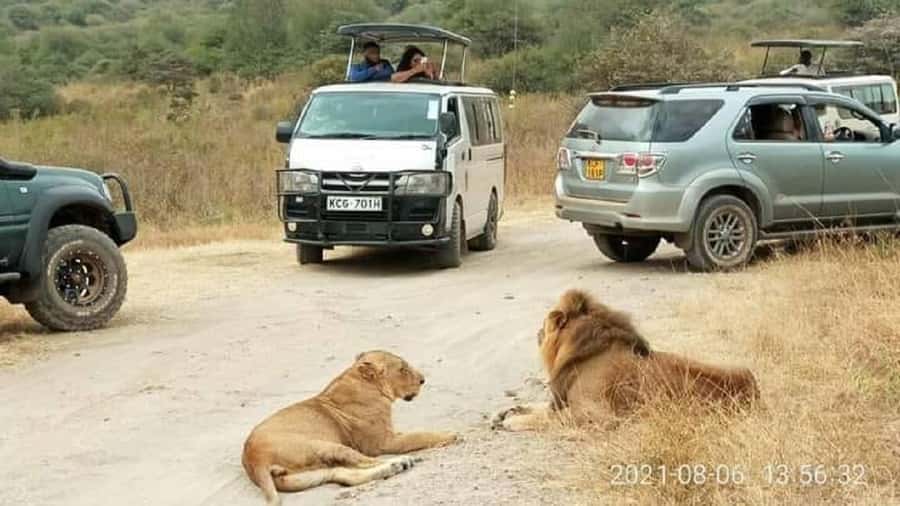 Nairobi national park and elephant orphanage - Key points to know before booking