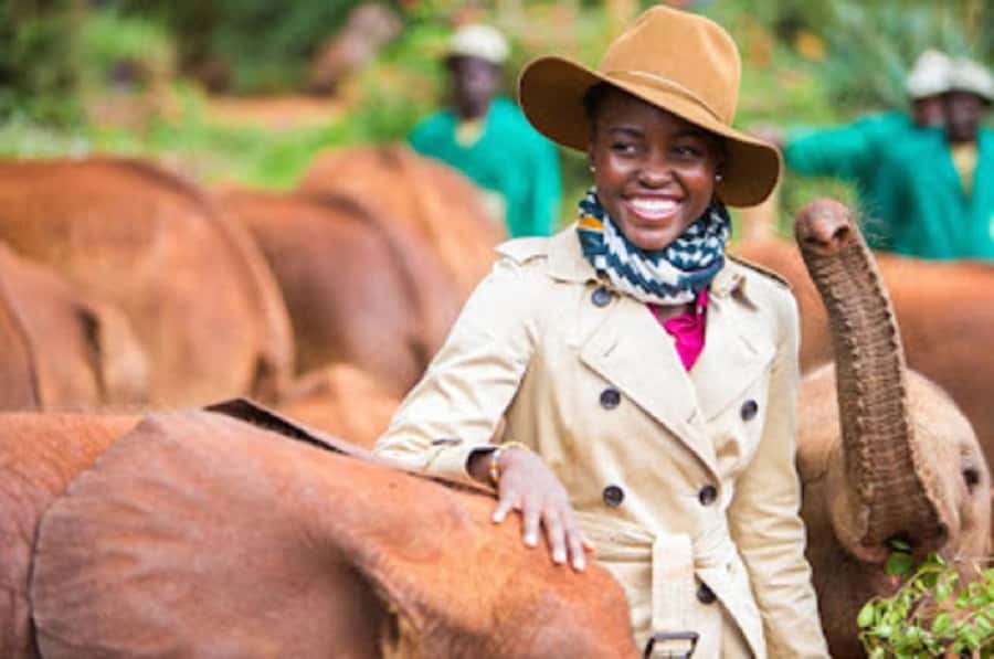 Nairobi national park and elephant orphanage - Nairobi National Park at 6:30 am
