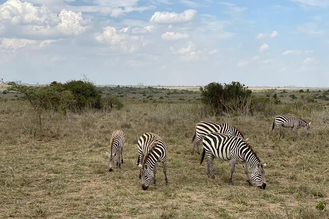Nairobi national park and Giraffe center - What the $175 price covers