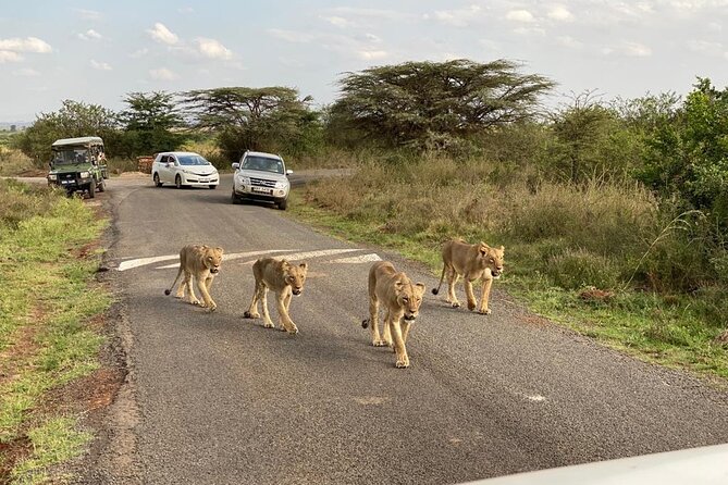 Nairobi national park and Giraffe center - Timing, pickup, and the shape of the day