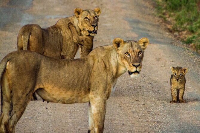 Nairobi National Park and Giraffe Center Daily Tours. - Booking advice and cancellation terms