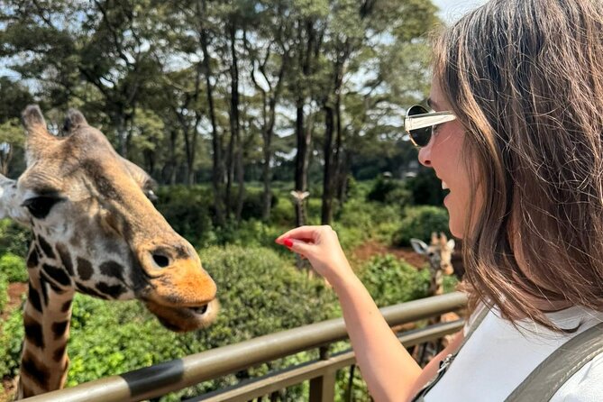 Nairobi National Park and Giraffe Center Daily Tours. - What the guide adds to the game drive