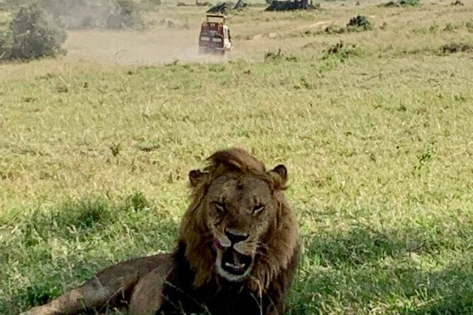 Nairobi National Park and Giraffe Center Day Tour - The guides make a real difference