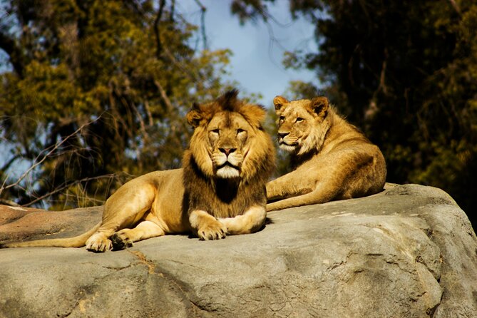 Nairobi National park And Giraffe Center: Free Wi-Fi Connection - My final take on booking this experience
