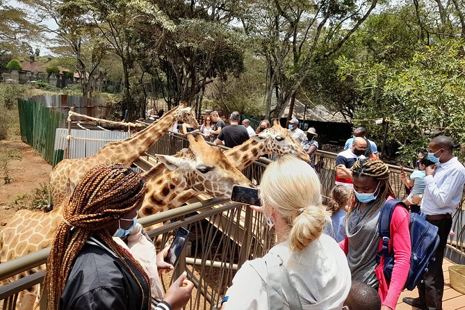 Nairobi: National park, baby Elephant, Giraffe center - Karen Blixen Museum and the itinerary question