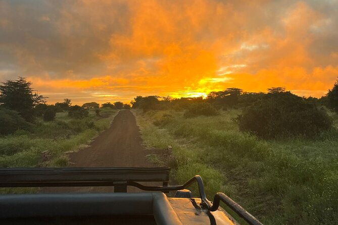 Nairobi National Park Daily Game drives. - Who should book this game drive