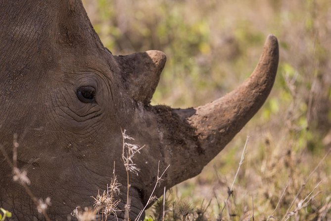 Nairobi National Park Day Tour - Who will enjoy this Nairobi safari most?