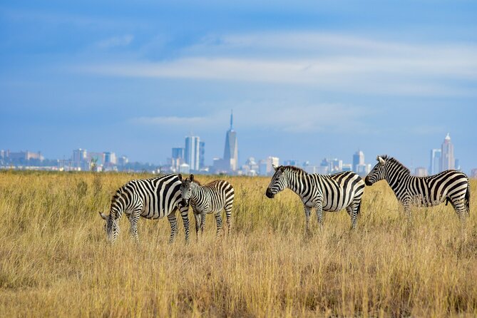 Nairobi National Park Early Morning or Afternoon Game Drive - Following the wildlife tracks