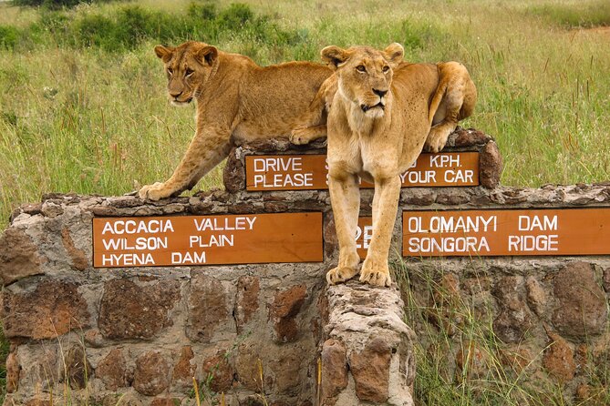 Nairobi National Park, Elephant Orphanage and Giraffe Centre - Kazuri Beads, a useful craft stop with a local focus