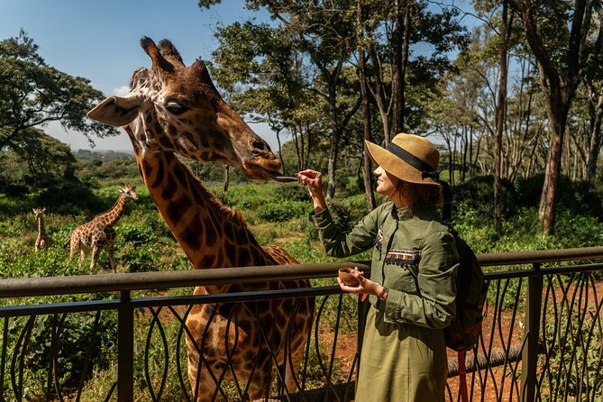Nairobi National Park, Elephant Orphanage and Giraffe Centre - What the $40 price really buys you