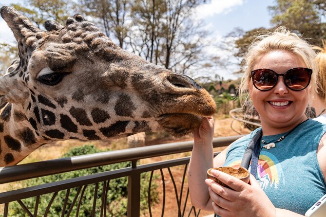 Nairobi National Park, Elephant Orphanage and Giraffe Centre - Should you book it?