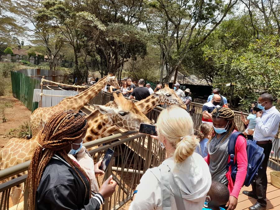 Nairobi: National Park, Elephant Orphanage, and Giraffe Tour - Why Nairobi National Park is the right place to begin