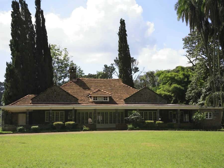 Nairobi: National Park, Elephant Orphanage, & Giraffe Centre - Why adding Nairobi National Park can be worth the extra fee