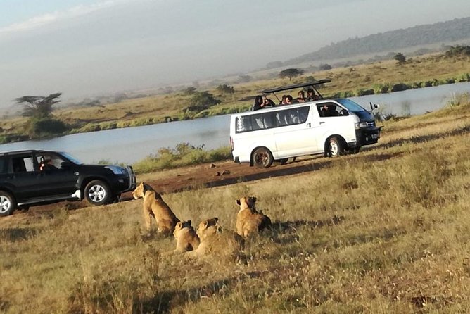 Nairobi National Park, Elephant Orphanage, Giraffe Centre Tour - How the guides affect the experience
