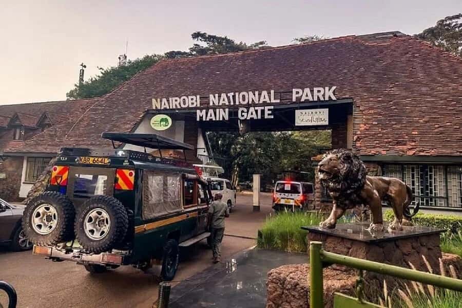 Nairobi: National Park, Elephant Orphanage & Giraffe Tour - David Sheldrick Wildlife Trust: an hour with elephant orphans