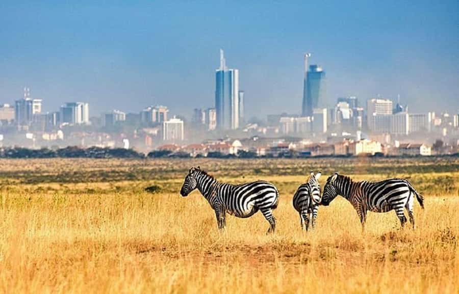 Nairobi: National Park, Elephant Orphanage & Giraffe Tour - Who should book this outing?