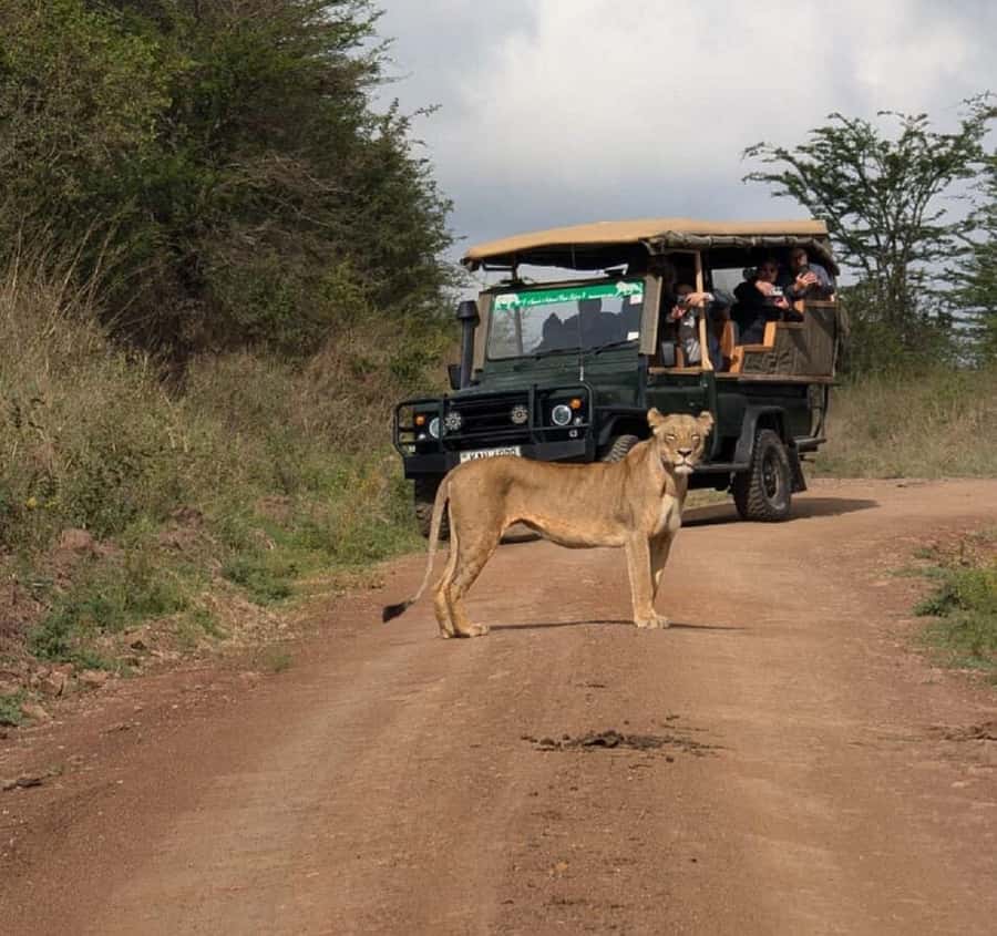Nairobi: National Park, Elephant Orphanage & Giraffe Tour - Nairobi National Park: wildlife beside the city