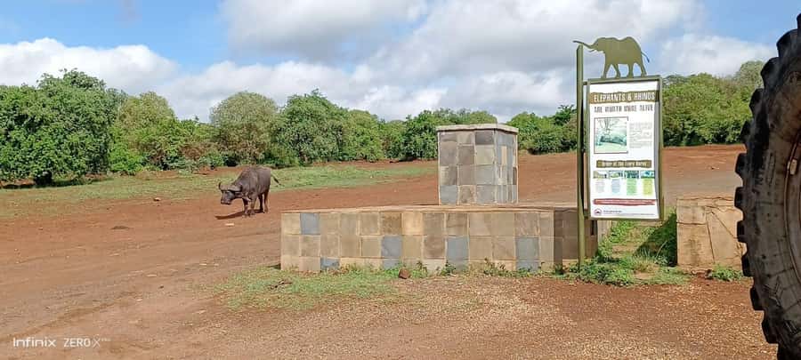 Nairobi: National Park, Elephant Sanctuary, & Giraffe Center - Timing, traffic, and the risk of a rushed day