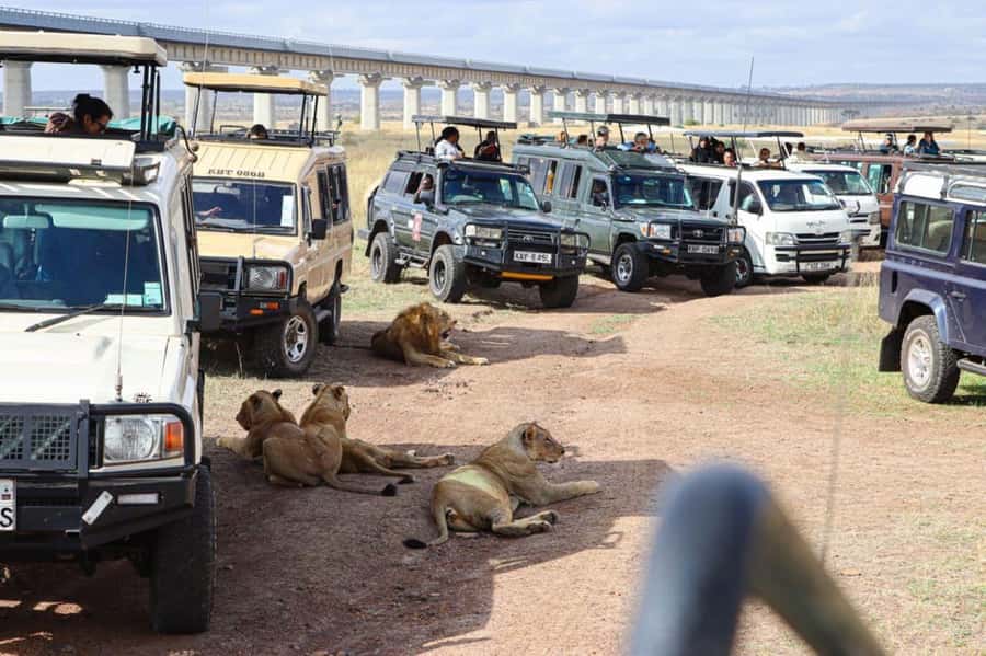 Nairobi National Park Evening Game Drive - A safari at Nairobi’s doorstep