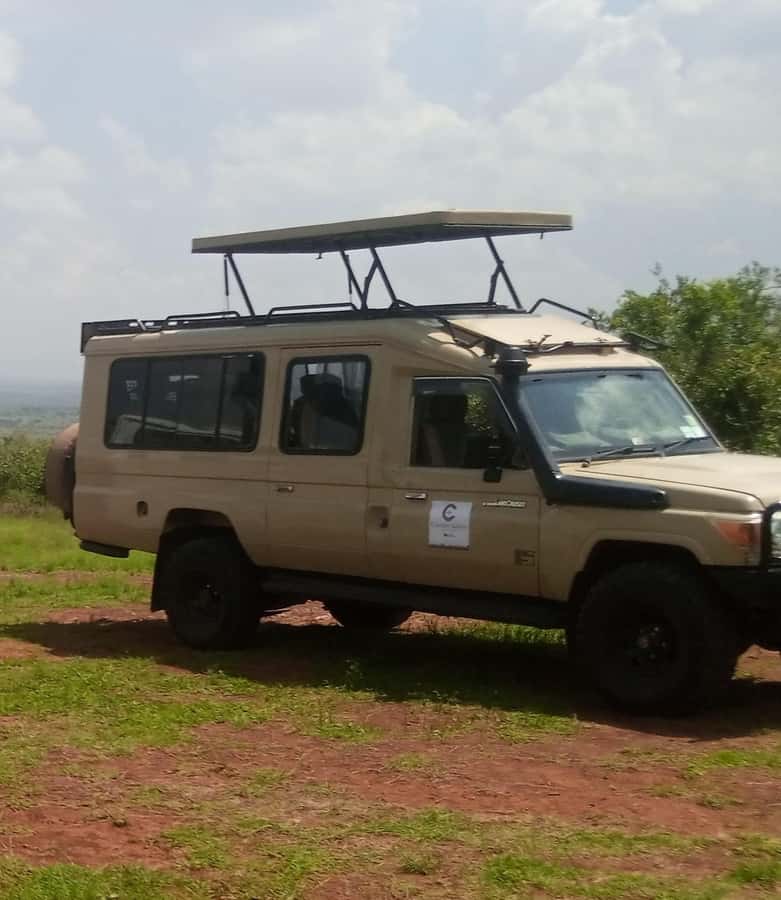 Nairobi National Park Full-Day Tour: Private 4WD with Guide - The 6:00 AM start and the safari rhythm