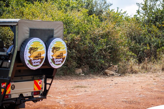 Nairobi National Park Game Drive - Shared Experience in Open Jeep - What the three-hour drive feels like