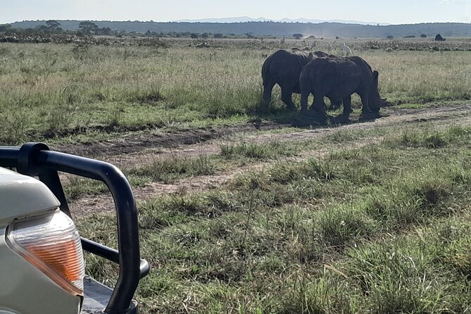 Nairobi National Park Giraffe Center Carnivore Lunch - A full day that puts Nairobi’s wild side first