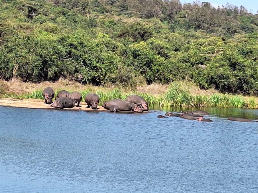 Nairobi National Park,Giraffe Center,Orpanage&Karen Blixxen - Bomas of Kenya: music, dance, and Kenyan identity