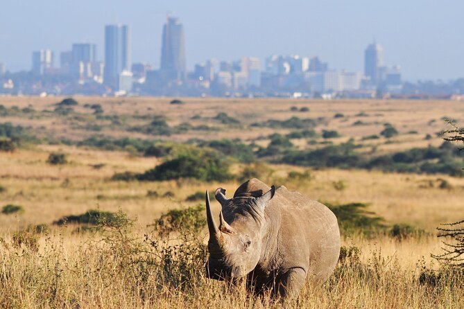 Nairobi National Park Group Shared Tour - Looking for four of the Big Five