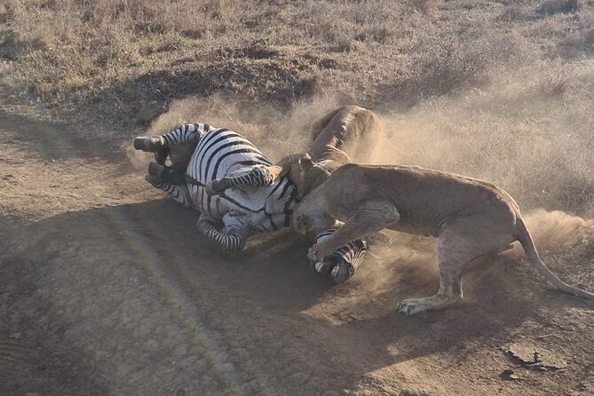 Nairobi National Park Group Shared Tour - Hippos, crocodiles, and the park’s river