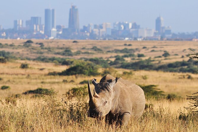 Nairobi National Park Group Tour - What the open-roof van adds
