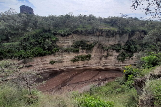 Nairobi National Park Group Tour - Four to five hours inside the park