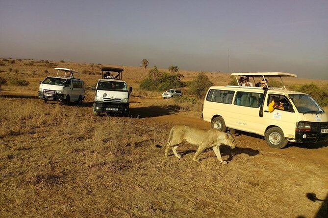 Nairobi National Park Half Day Game Drive Tour With Free WIFI - Is $41 a good value?