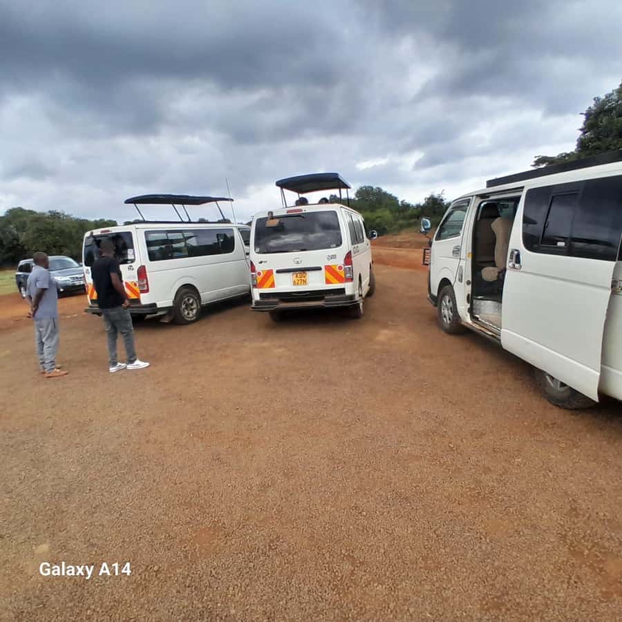 Nairobi National Park: Half-Day Group Tour with Pickup - Rhinos, lions, hippos, and the Big Five question