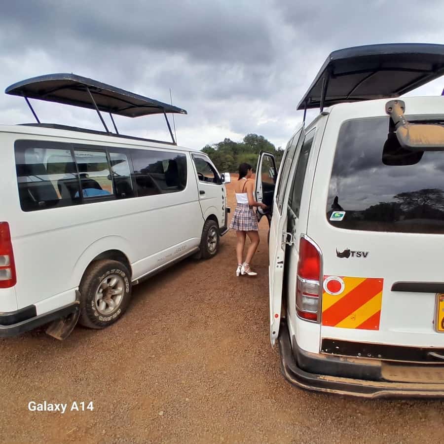 Nairobi National Park: Half-Day Group Tour with Pickup - Practical advice for a better morning