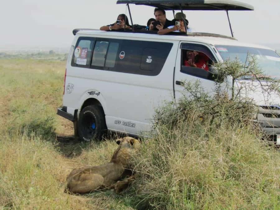 Nairobi National Park Half-Day Guided Game Drive With Pickup - Guides can make the difference
