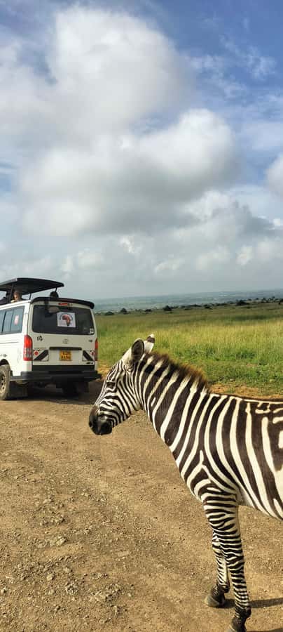 Nairobi National Park Half-Day Guided Game Drive With Pickup - The optional bead and leather stop