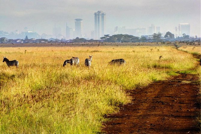 Nairobi National Park: Half Day Guided Tour From Nairobi - The 6am pickup and quick trip to the gate