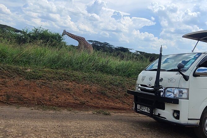 Nairobi National Park Half Day Tour - Pickup, group size, and the pace of the morning