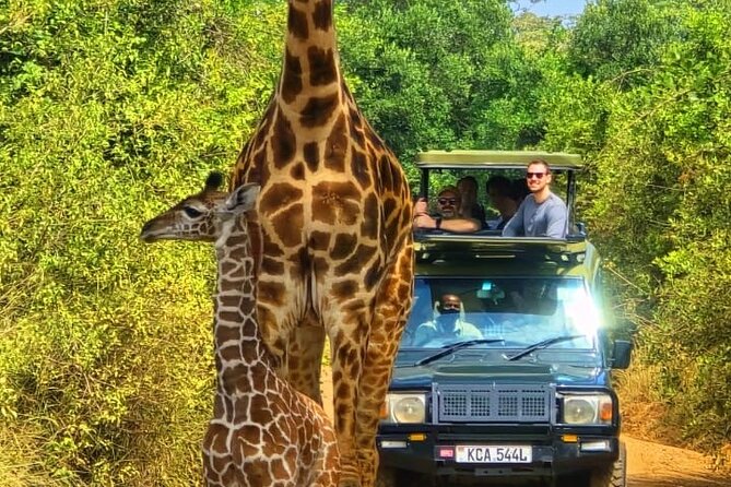 Nairobi National Park Half Day Tour with Landcruiser with Pickup - What the open pop roof adds