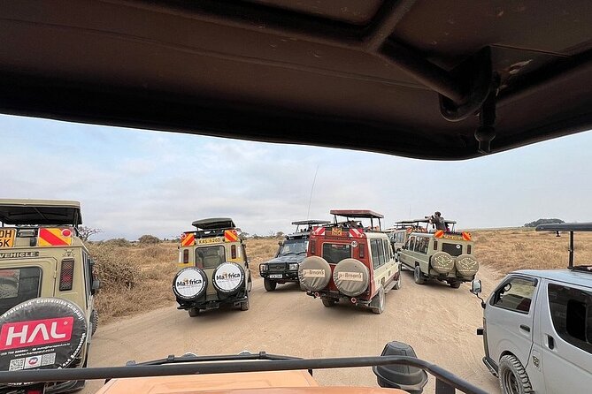 Nairobi National Park Half Day with Pickup - The guide service and overall mood