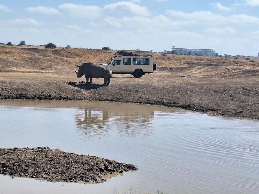 Nairobi National Park Morning Or Evening Game Drive Tour - Why this Nairobi safari works so well