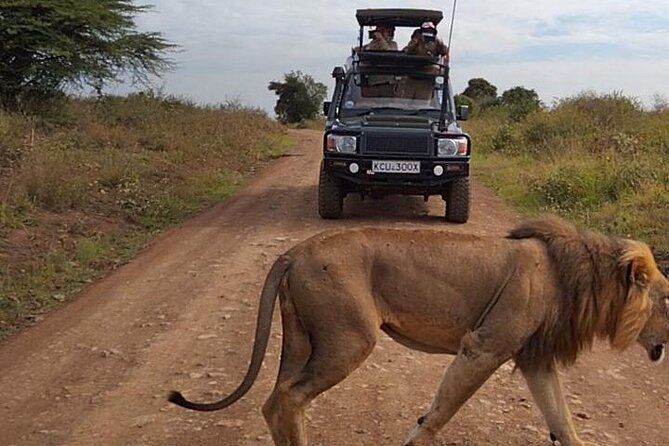 Nairobi National park private day tour - Key points at a glance