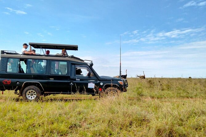 Nairobi National park private day tour - Carnivore Restaurant or Mamba Village after the park