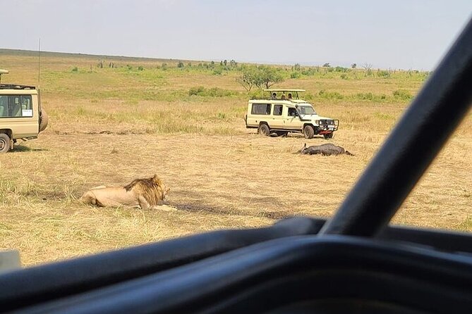 Nairobi National Park Private Half Day Tour with Pick up - Animals you might see, from black rhinos to ostriches