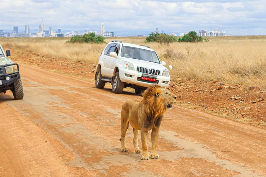 Nairobi: National Park Private Tour in 4X4 Jeep - At the gate, monkeys and the Ivory Monument