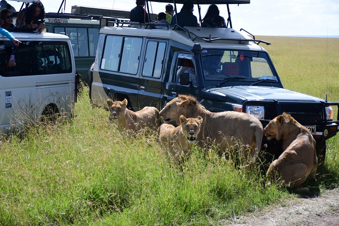 Nairobi National Park Shared Tour - Shared transport, Wi-Fi, and group size